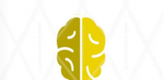 Smart Brain – Intelligent Personal Assistants for F.A.S.Ter Stroke Detection