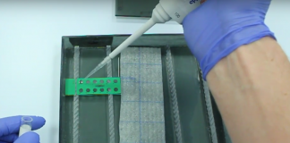 Pipetting a slide for an immune fluorescence test in a moisture chamber