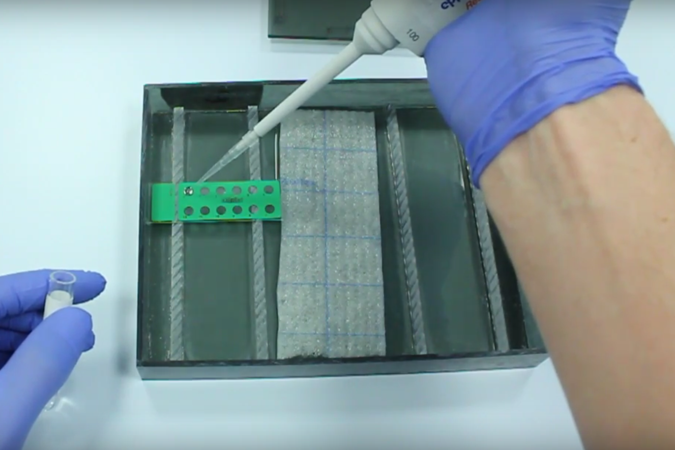 feat-img Pipetting a slide for an immune fluorescence test in a moisture chamber