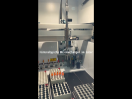 Hämatologische Untersuchung im Routinelabor